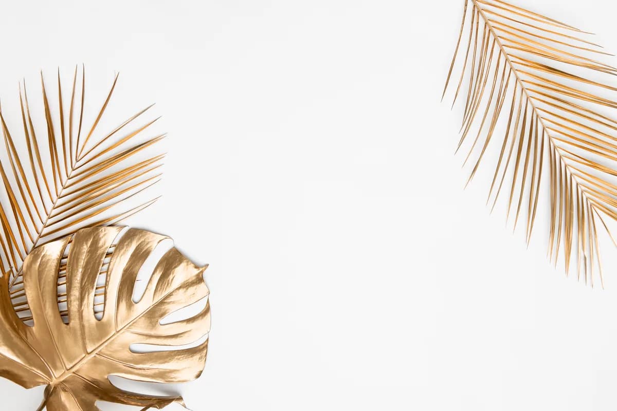 Flat lay of Aurelia gold jewelry on stone