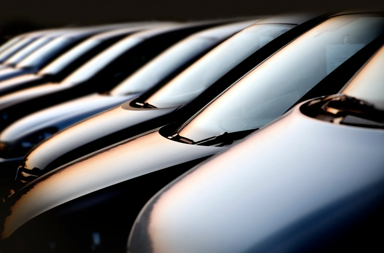 Rows of gleaming vehicles lined up on the Atlantic Motors lot at dusk