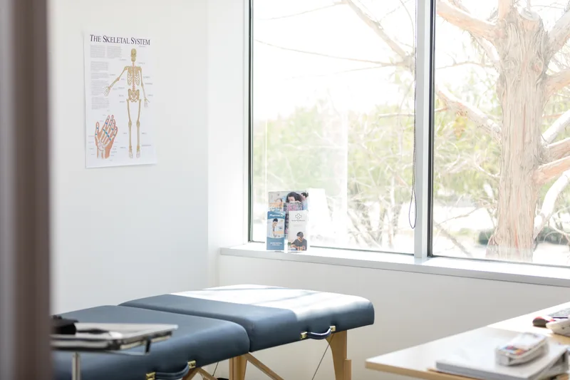 A quiet consultation room with a padded exam table beside a large window onto the trees