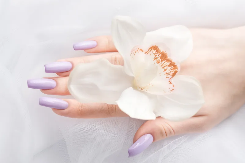 A hand with lilac polished nails cradling a white orchid bloom on white tulle