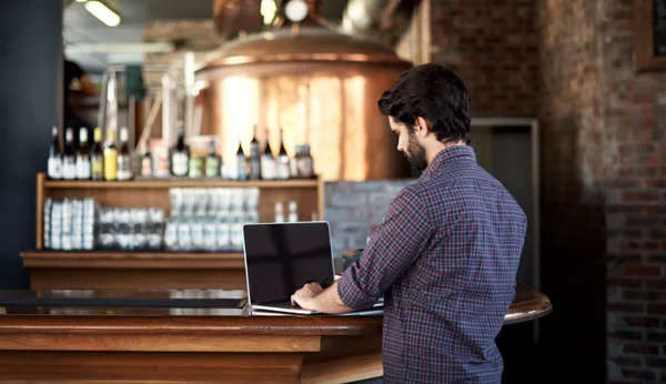 Brewery owner reviewing marketing performance on a laptop at the taproom bar during the day