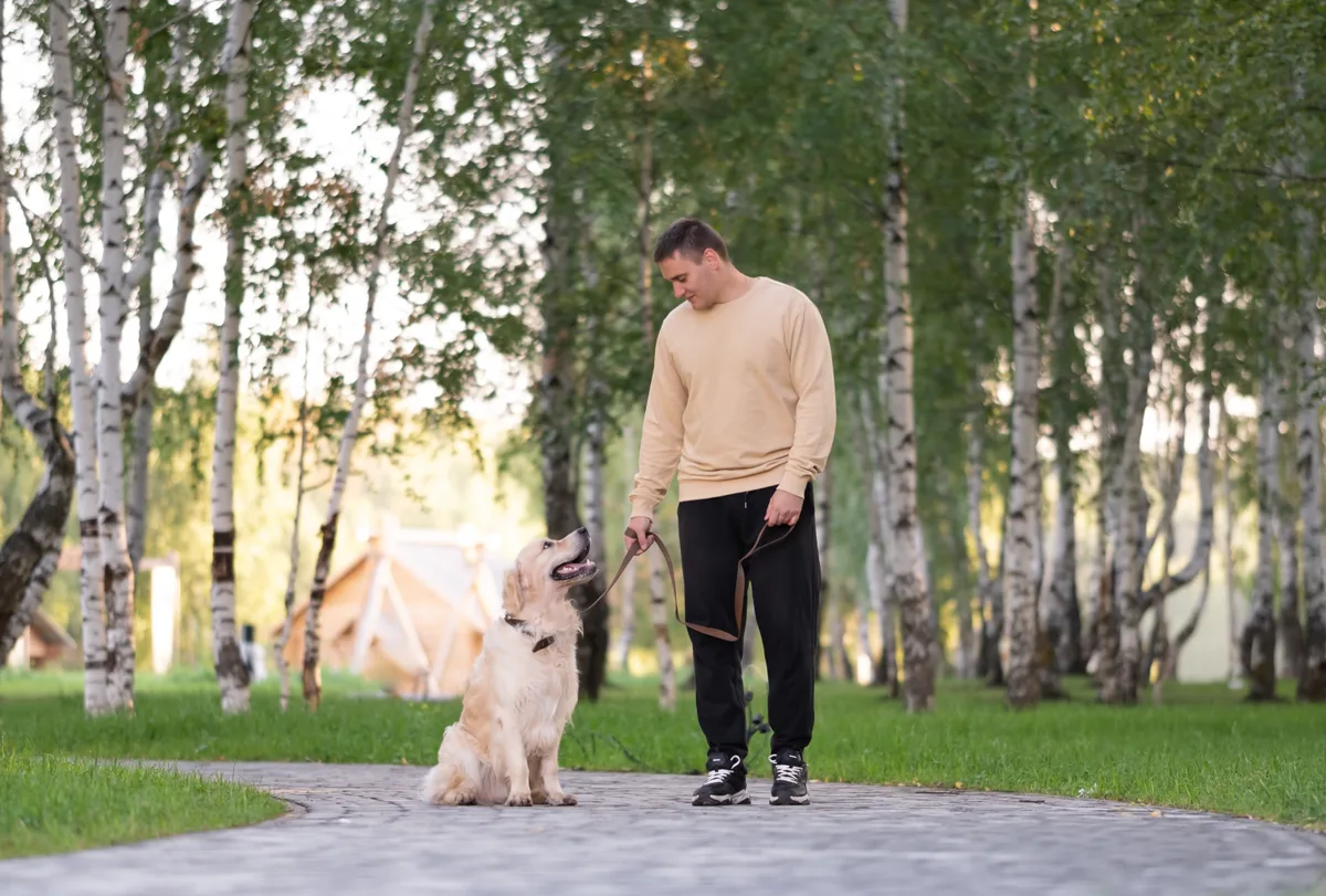 A professional dog trainer guiding a leashed dog through an obedience exercise in an outdoor park