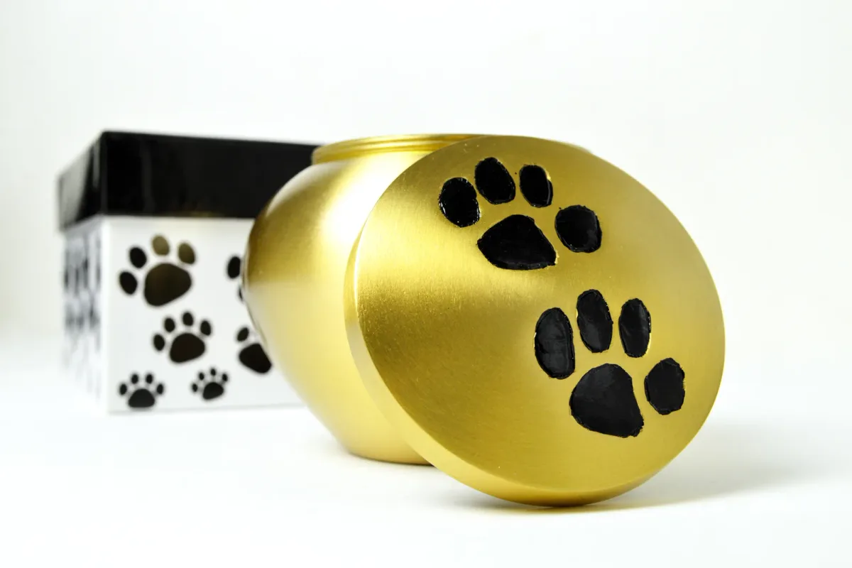 A pet cremation provider speaks gently with a pet owner at a consultation table, a small urn nearby
