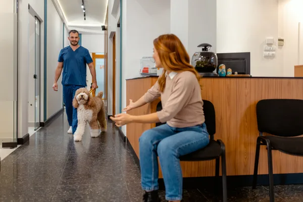 Veterinarian and a pet owner discussing care for a dog on the exam table in a bright animal hospital