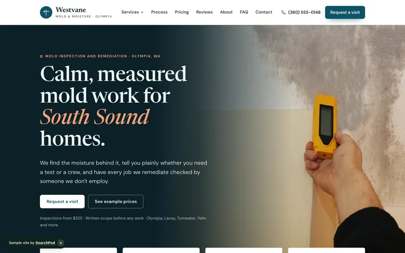 Westvane Mold & Moisture — homepage of the live sample site