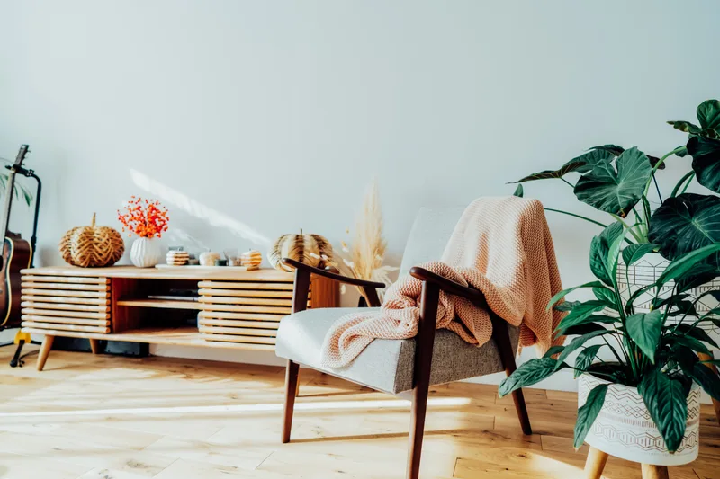 Sunny living room corner with a low slatted wood sideboard, a reading chair with a knitted throw and a large potted plant