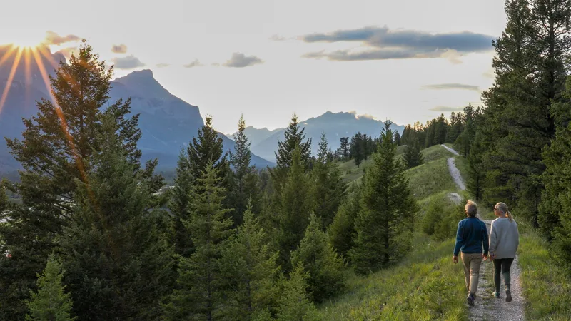 Two people walking a mountain trail through pine trees at sunrise