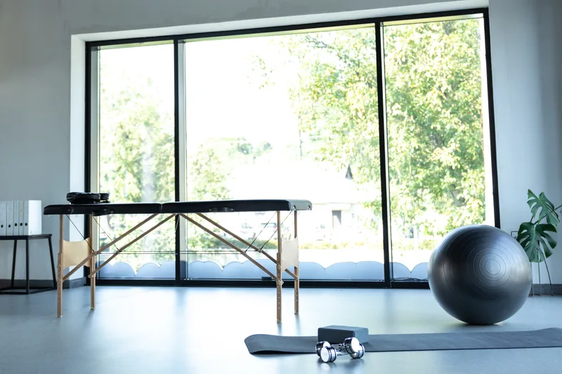 Quiet treatment room with a padded table, an exercise ball, and tall windows facing trees