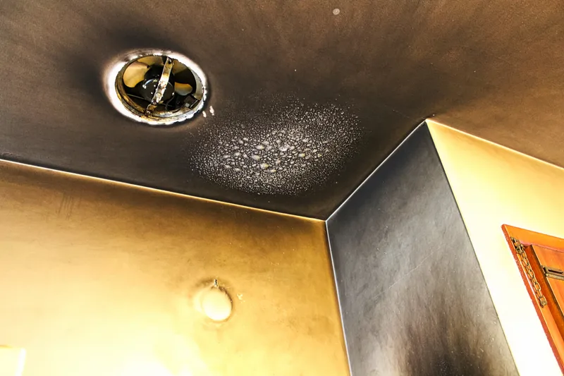 Ceiling and upper walls darkened with soot and bubbled paint after a small kitchen fire