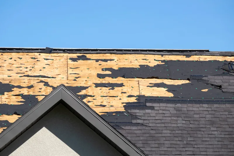 Roof with large patches of shingles torn away by high winds, exposing the wood decking