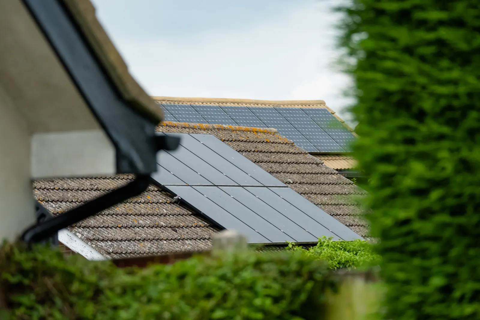 Close view of newly installed solar panels on a freshly replaced shingle roof