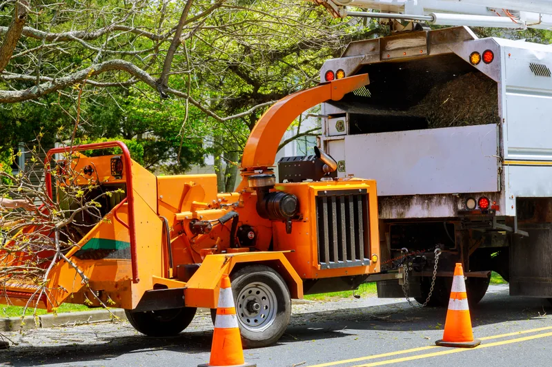 Tall Order crew member feeding branches into an orange wood chipper behind the truck, with safety cones on the street