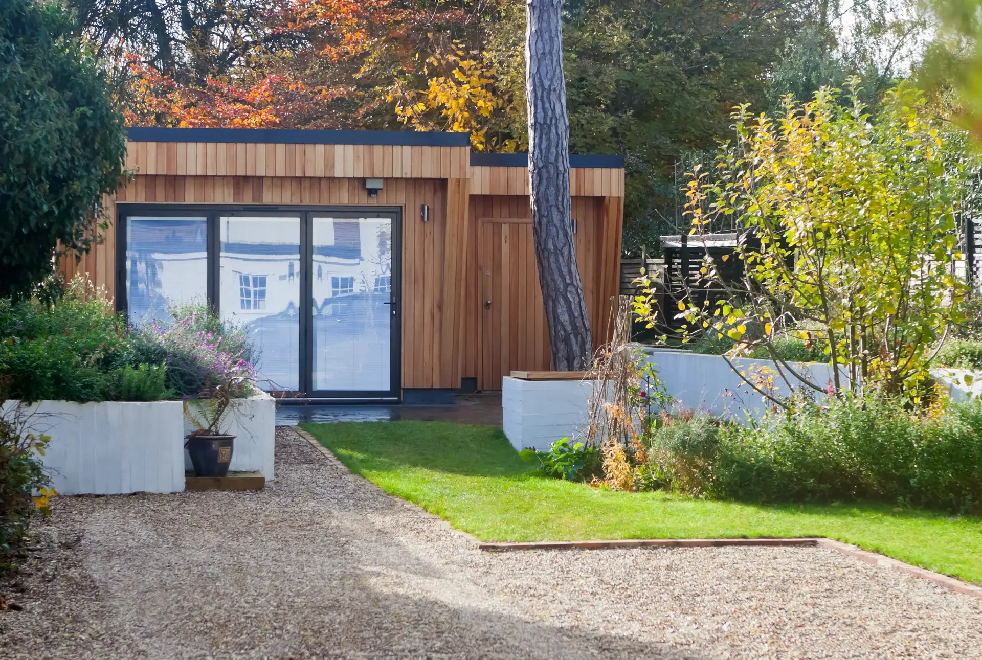 Cedar-clad garden studio with full-height glazing behind white rendered planters and a gravel court in autumn
