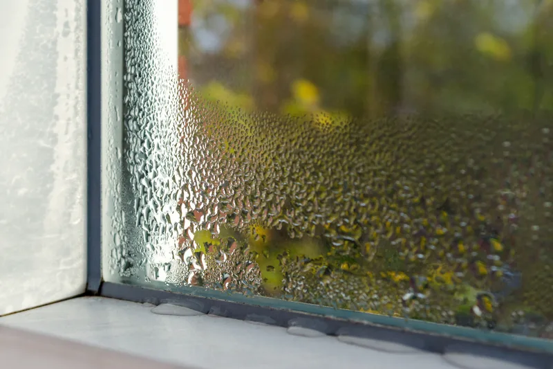 Water droplets covering the inside of a window pane, with dark growth along the bottom of the frame