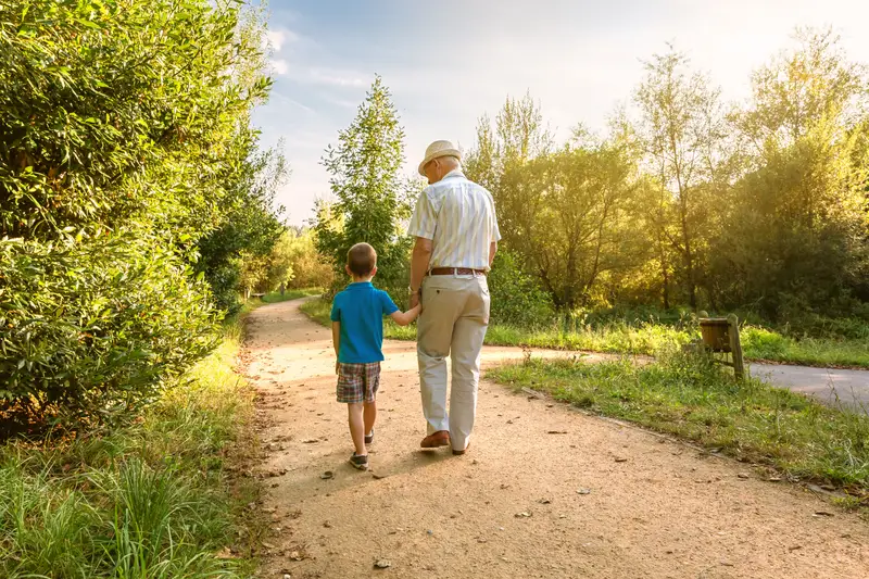 A grandfather and a small grandchild walk away down a sunlit forest path, seen from behind