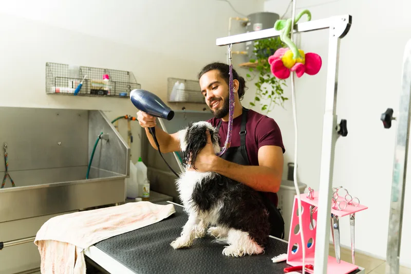 Smiling groomer hand-drying a small black and white dog on a grooming table