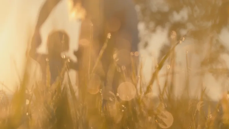 Soft-focus frame through backlit tall grass of a parent reaching down to a small child at sunset