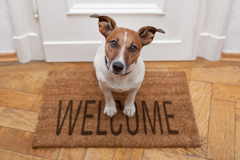A small terrier sits on a doormat that says welcome, in front of a white door