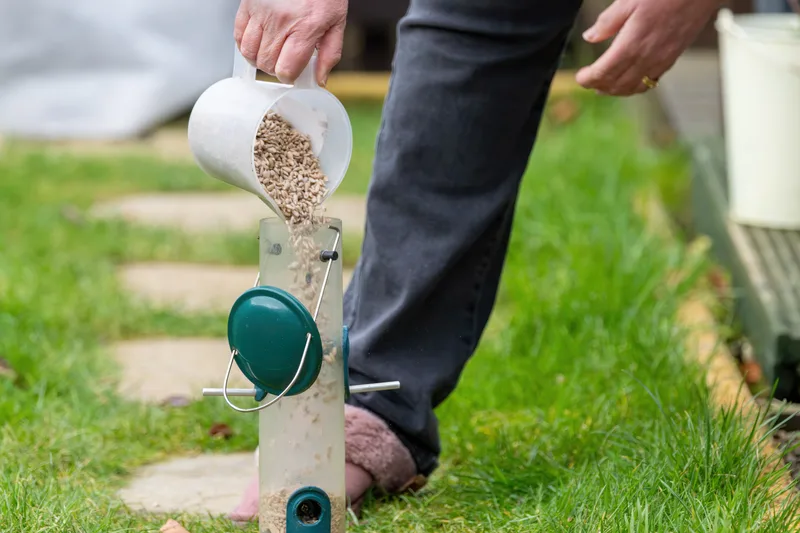 Someone pouring sunflower seed into a tube bird feeder in a backyard