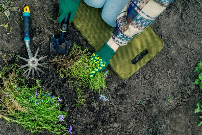 Overhead view of a gardener in green gloves planting small perennials into dark soil beside a kneeling pad and hand tools