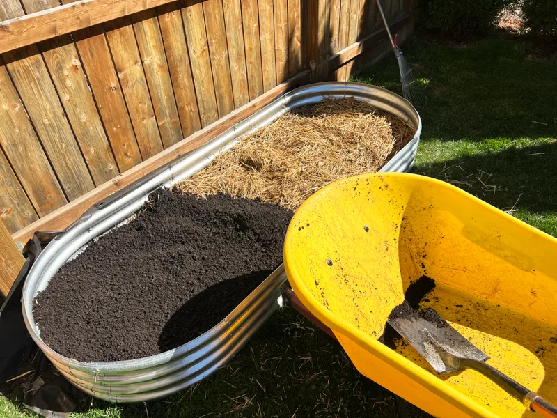 A galvanized raised bed half filled with dark raised-bed mix beside a yellow wheelbarrow
