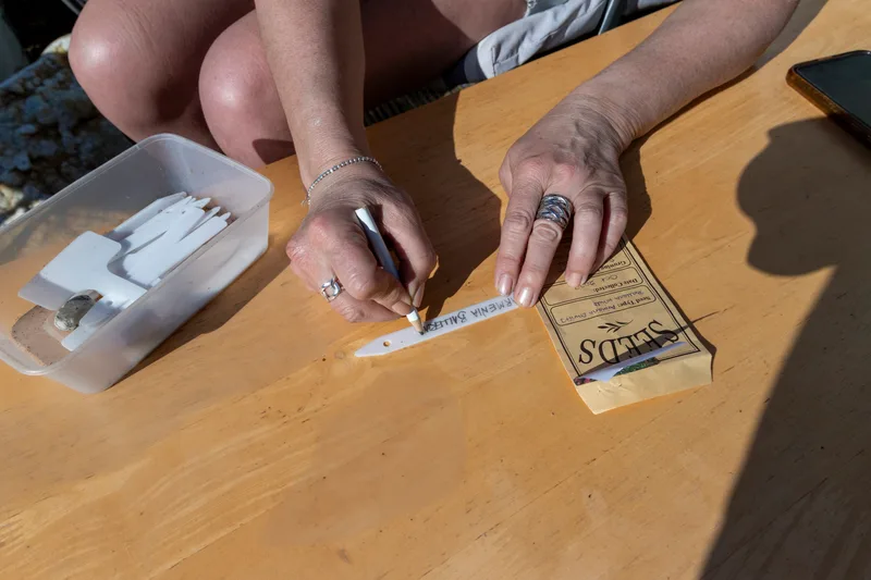 Hands writing plant labels on a wooden potting bench next to a seed packet and a box of blank labels