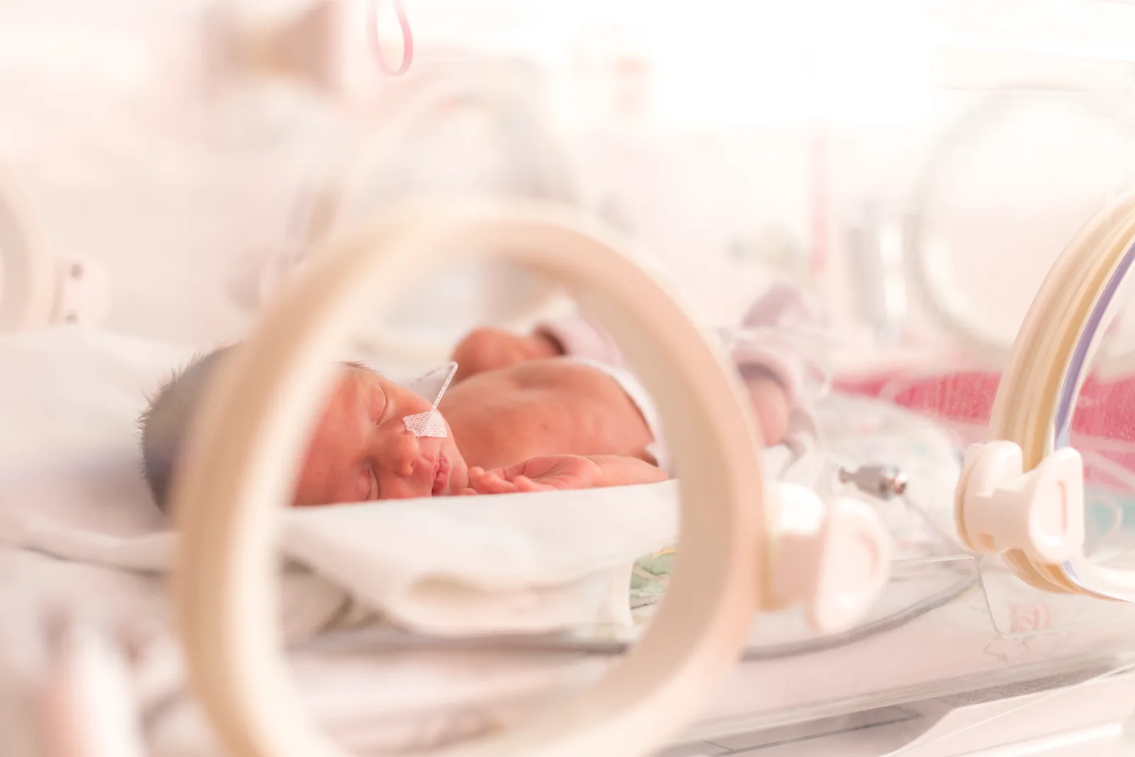 Birth injury attorney reviewing a child's medical records and life-care plan with the parents at a law office conference table