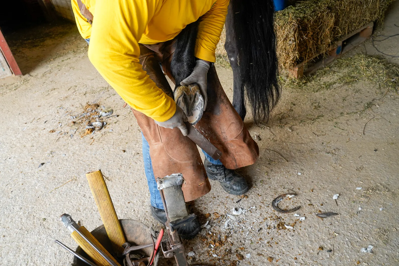 Farrier nailing a new shoe onto a horse's hoof in a barn aisle while the owner holds the lead rope