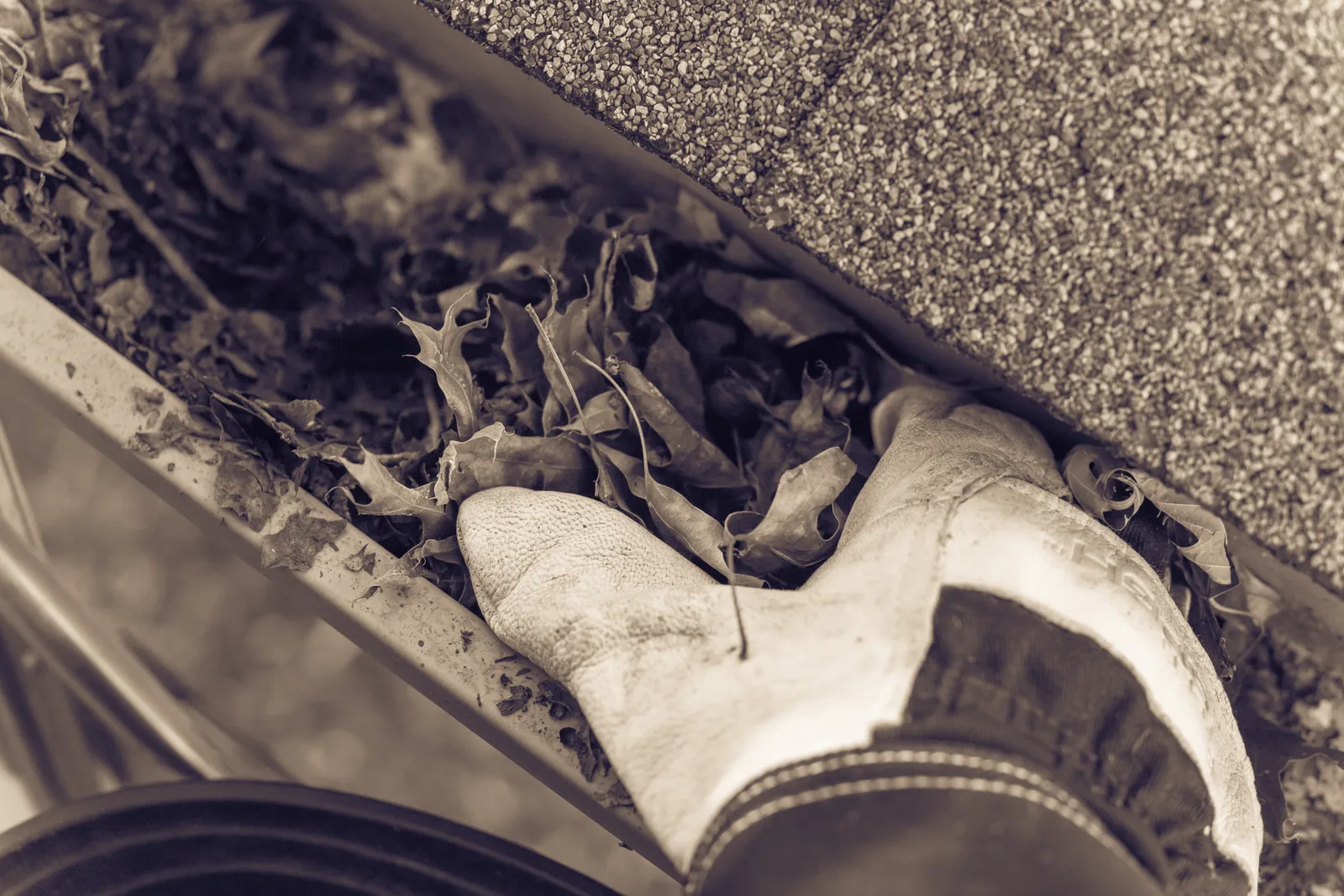 A technician on a ladder clearing wet leaves and debris by hand from a home's gutter