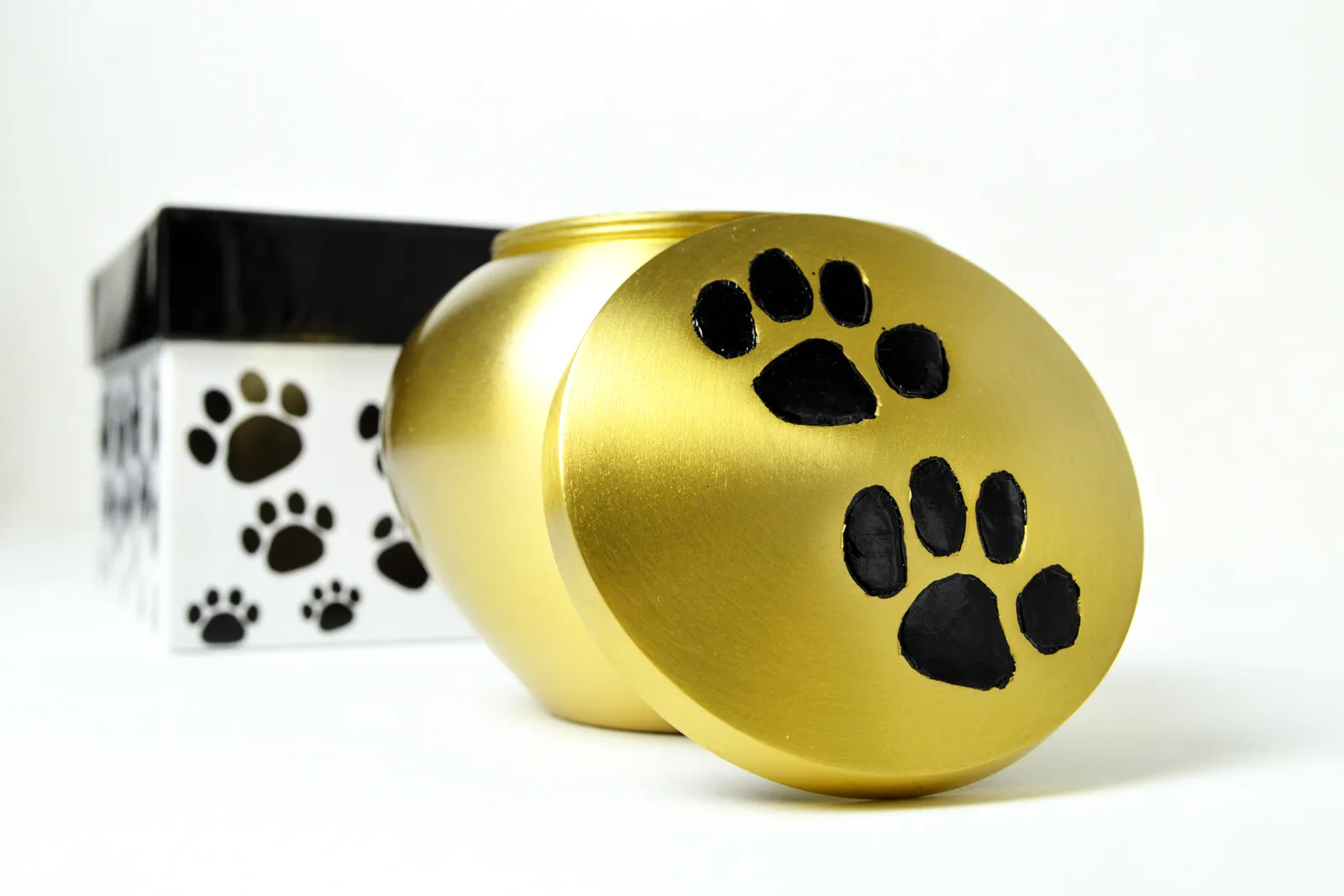 A pet cremation provider speaks quietly with a pet owner across a consultation table, a small urn and a paw-print keepsake nearby