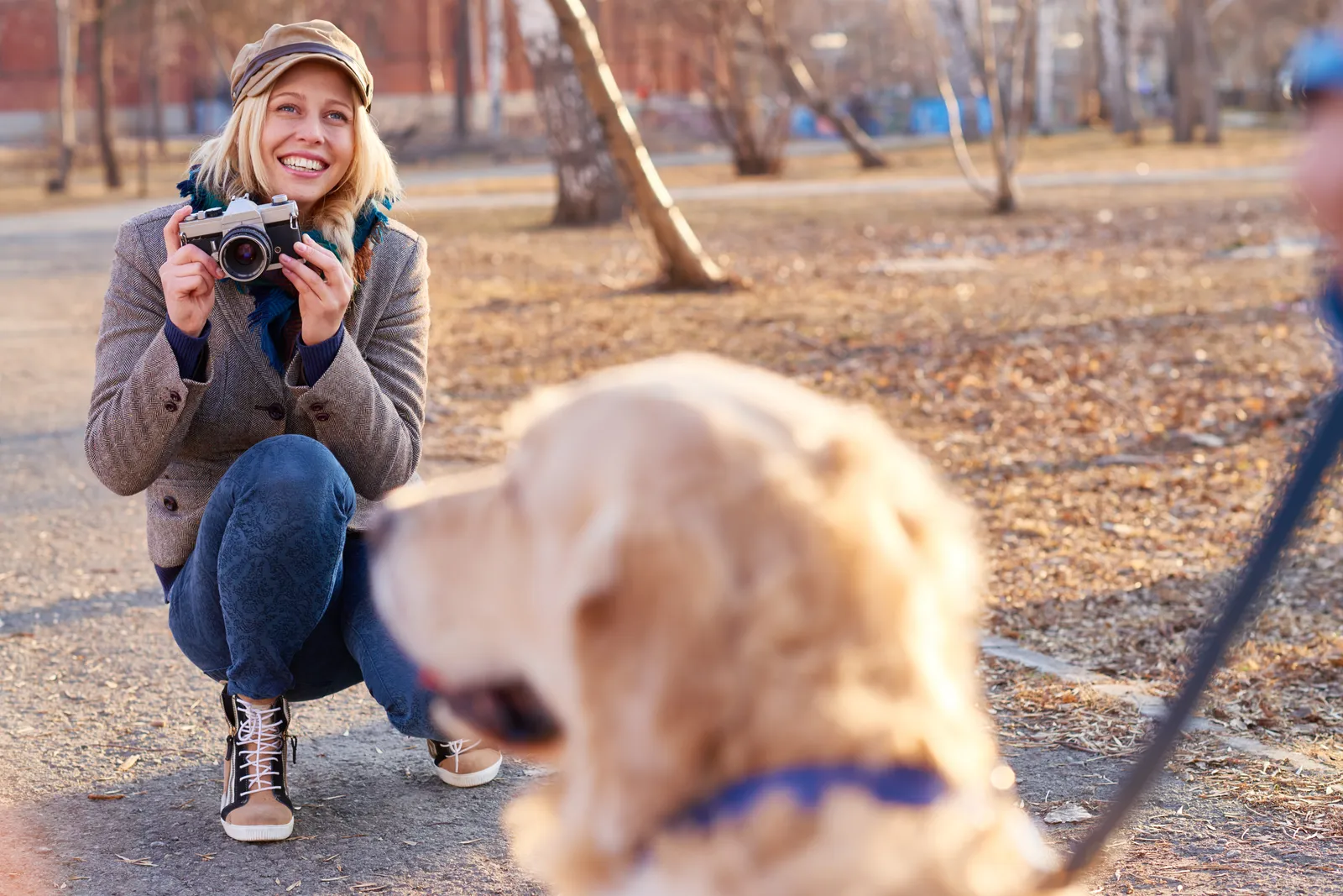 Pet photographer kneeling in a sunlit park to photograph a golden retriever sitting for a portrait session