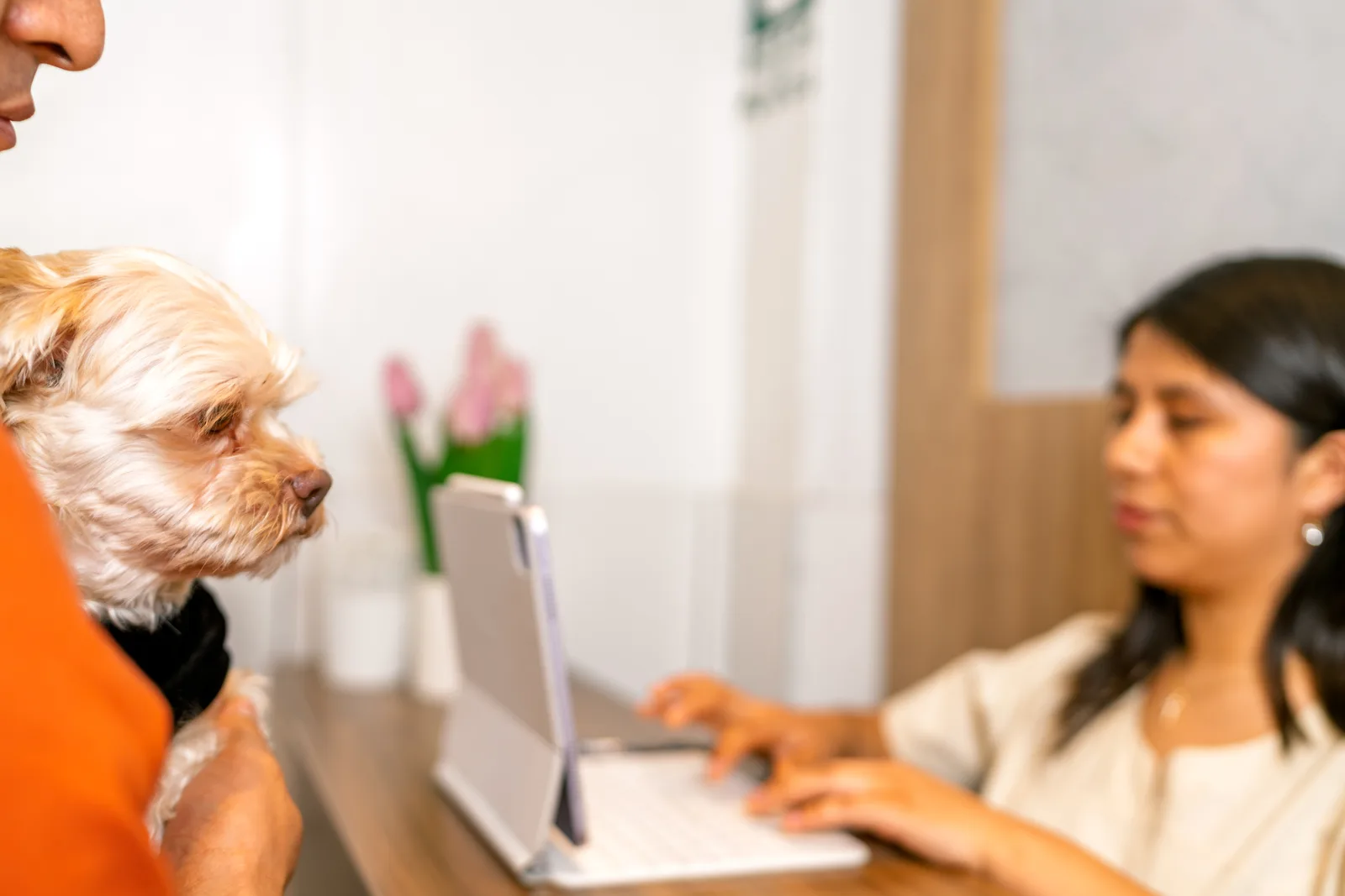 Veterinary practice software team reviewing an appointment and patient-record dashboard together on a laptop in their office