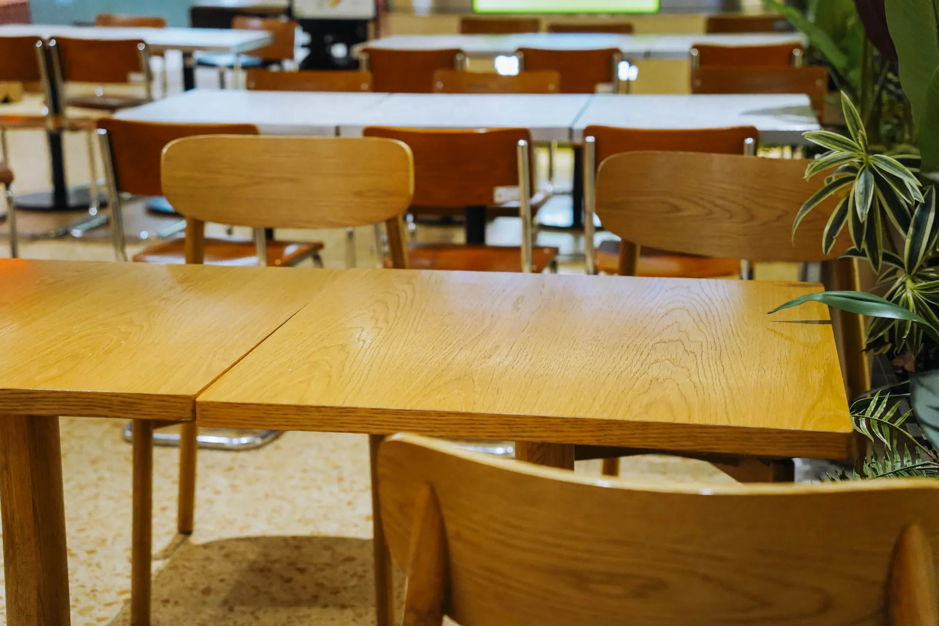 Warm-toned Bowl & Branch dining room with pale wood tables and chairs waiting for the lunch rush