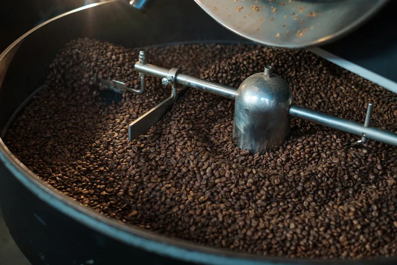 Freshly roasted coffee beans turning in the cooling tray of a drum roaster