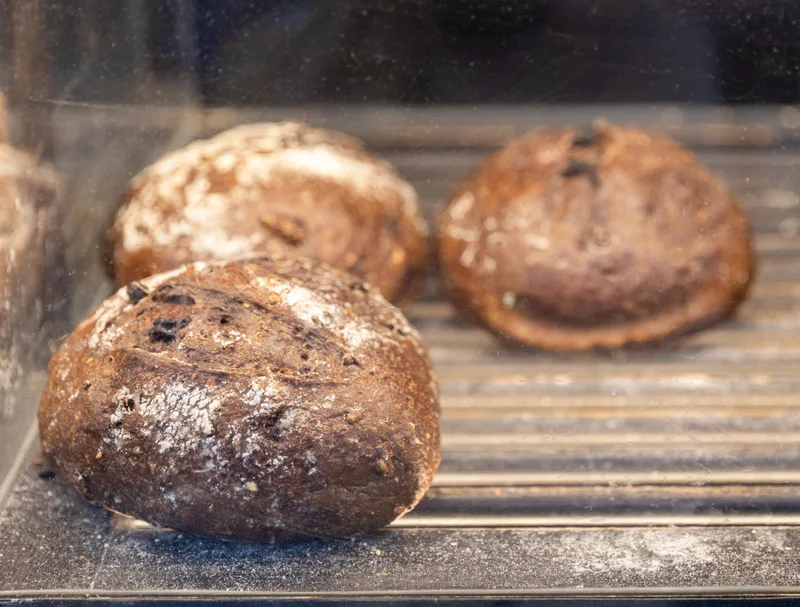 Dark chocolate cherry rye boules dusted with flour on the oven rack mid-bake