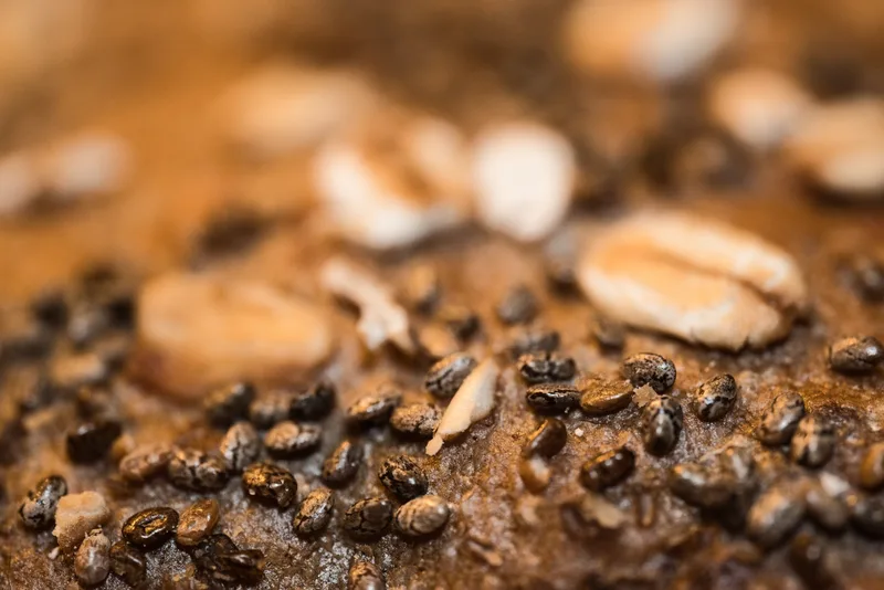 Close-up of a seeded rye crust studded with chia seeds and rolled oats