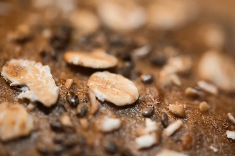 Extreme close-up of a baked crust scattered with rolled oats and seeds — the texture Agnes leaves behind